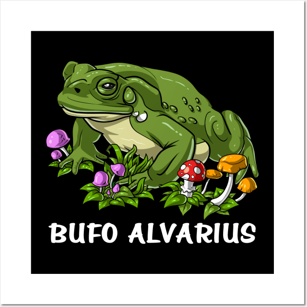 Bufo Alvarius Toad Frog Wall Art by underheaven